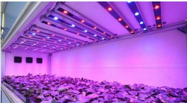 1616403131223937.png 燈二.png